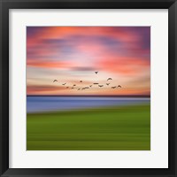 Birds In The Sunset Fine Art Print