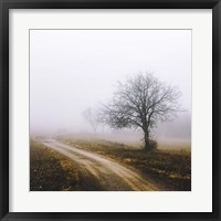 Lonely Tree In The Mist Fine Art Print