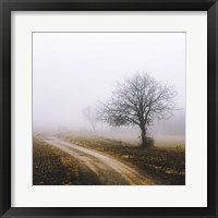 Lonely Tree In The Mist Fine Art Print
