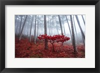 Misty Autumn Fine Art Print