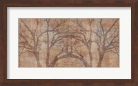 Tree Fine Art Print