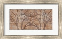 Tree Fine Art Print