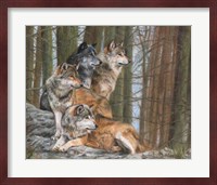 Four Wolves Fine Art Print