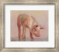 Little Pig Fine Art Print