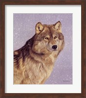 Wolfportraitsnow.Jpg Fine Art Print