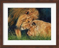 Lion Love Fine Art Print