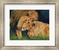 Lion Love Fine Art Print