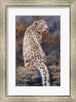 Snow Leopard 2 Fine Art Print