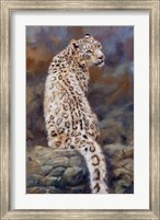 Snow Leopard 2 Fine Art Print