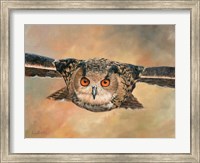 Eagle Owl Fine Art Print