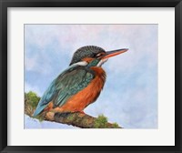 Kingfisher 2 Fine Art Print