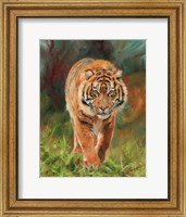Amur Tiger 2 Fine Art Print