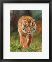 Amur Tiger 2 Fine Art Print