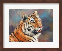 Tiger On Crushed Colors Fine Art Print