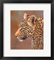 Leopard Looking Left Fine Art Print