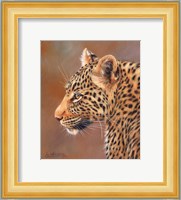 Leopard Looking Left Fine Art Print