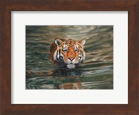 Tiger Water Swimming Fine Art Print