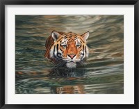 Tiger Water Swimming Fine Art Print