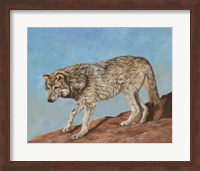 Red Rock Wolf Fine Art Print