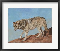 Red Rock Wolf Fine Art Print