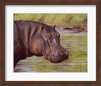 Hippo Fine Art Print