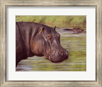 Hippo Fine Art Print