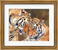 Tiger Love Fine Art Print