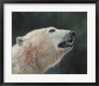 Polar Bear Portrait Fine Art Print