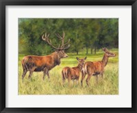 Deer Family Fine Art Print
