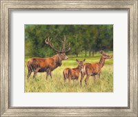 Deer Family Fine Art Print