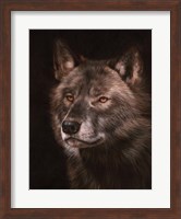 Black Wolf Fine Art Print