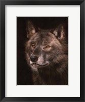 Black Wolf Fine Art Print