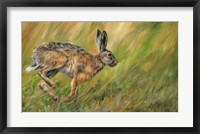Hare Running Fine Art Print