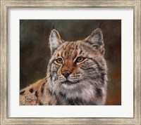 Eurasian Lynx Fine Art Print