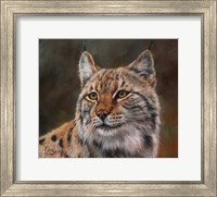 Eurasian Lynx Fine Art Print