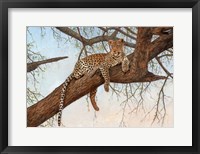 Leopard In Tree Fine Art Print
