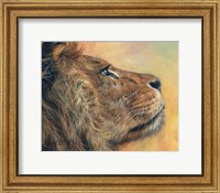 Lion Profile Fine Art Print