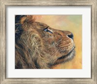 Lion Profile Fine Art Print