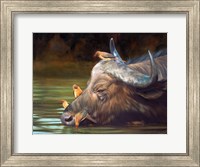 Buffalo And Oxpeckers Fine Art Print