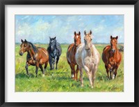 Wild Horses Fine Art Print