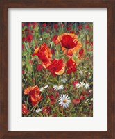 Poppies Fine Art Print