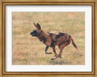 African Wild Dog Running Fine Art Print
