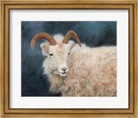 Mountain Goat 2 Fine Art Print