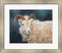 Mountain Goat 2 Fine Art Print