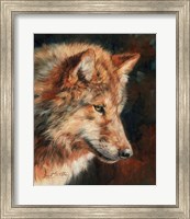 Grey Wolf Portrait Fine Art Print