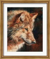 Grey Wolf Portrait Fine Art Print