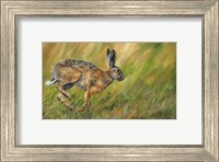 Wild Hare Running Fine Art Print