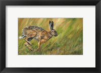 Wild Hare Running Fine Art Print