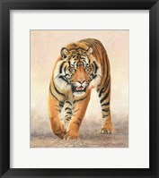 Tiger16 Fine Art Print