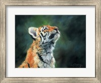 Tiger Cub Looking Up Fine Art Print